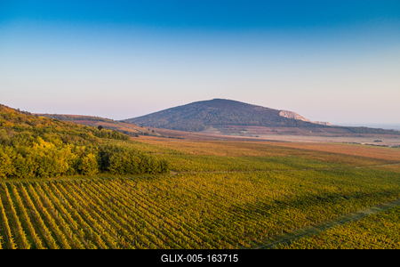 aerial view of beautiful autumn vineyard in Villany, Hungary-stock-foto