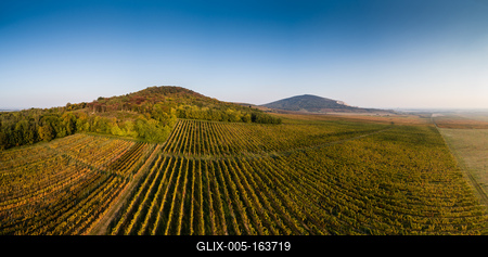 aerial view of beautiful autumn vineyard in Villany, Hungary-stock-foto
