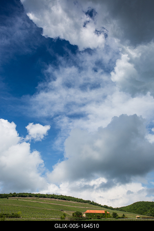Vineyard in Mecsek with blue sky-stock-foto