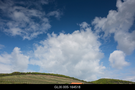 Vineyard in Mecsek with blue sky-stock-foto