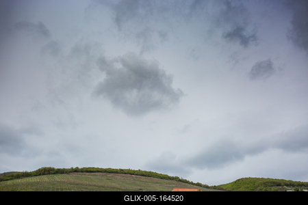 Vineyard in Mecsek with blue sky-stock-foto