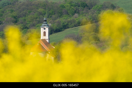 Church tower with yellow canola field in Abaliget-stock-foto