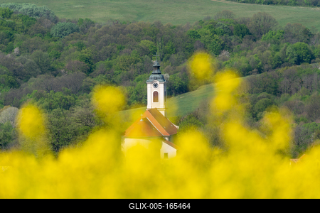 Church tower with yellow canola field in Abaliget-stock-foto