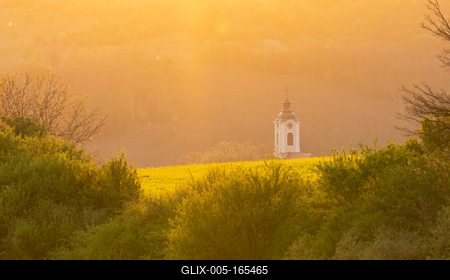 Church tower with yellow canola field in Abaliget-stock-foto