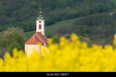 Church tower with yellow canola field in Abaliget-stock-foto