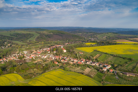 yellow canola field with cloudy sky-stock-foto