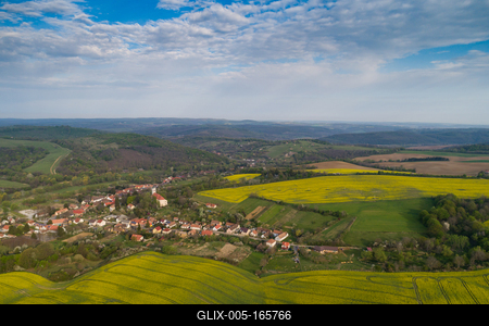 yellow canola field with cloudy sky-stock-foto