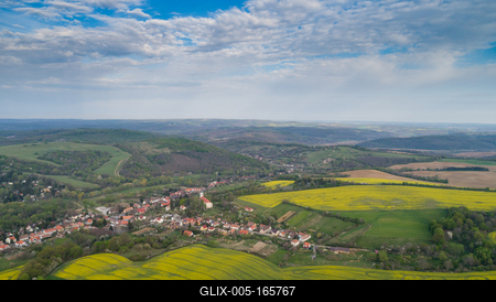 yellow canola field with cloudy sky-stock-foto