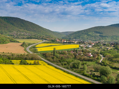yellow canola field with Mecsek Hills-stock-foto