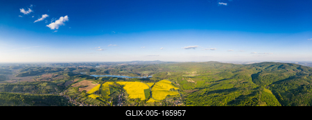 yellow canola field with blue sky-stock-foto