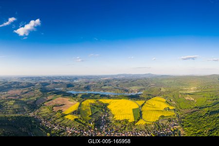 yellow canola field with blue sky-stock-foto