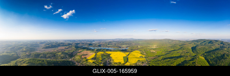 yellow canola field with blue sky-stock-foto
