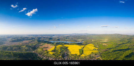 yellow canola field with blue sky-stock-foto
