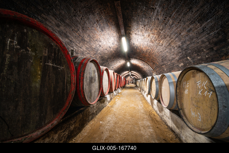 wooden barrels in old winery-stock-foto
