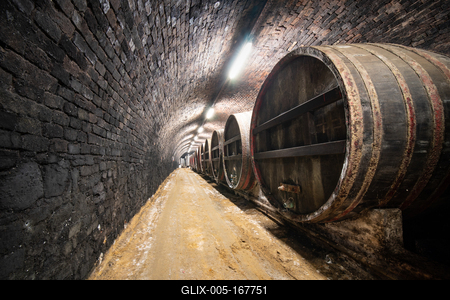 wooden barrels in old winery-stock-foto