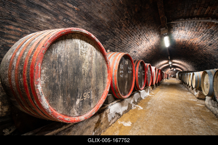 wooden barrels in old winery-stock-foto