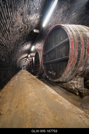 wooden barrels in old winery-stock-foto