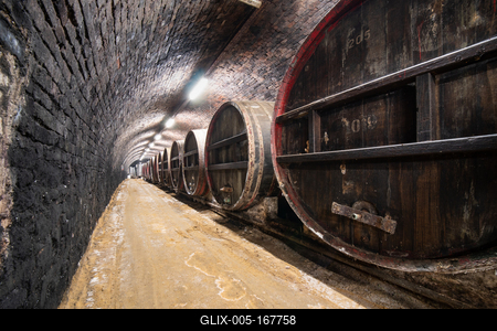 wooden barrels in old winery-stock-foto