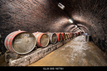 wooden barrels in old winery-stock-foto