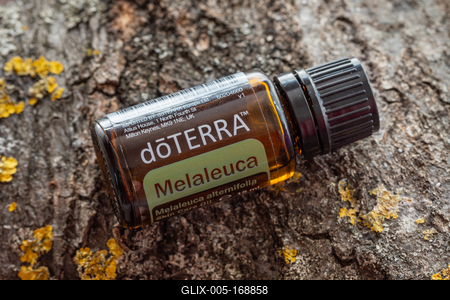 Pecs / Hungray - Aug 05 2020 - Illustrative editorial image of Doterra Essential Oils for everyday use-stock-foto