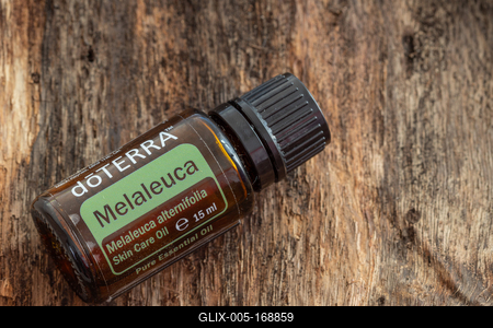 Pecs / Hungray - Aug 05 2020 - Illustrative editorial image of Doterra Essential Oils for everyday use-stock-foto