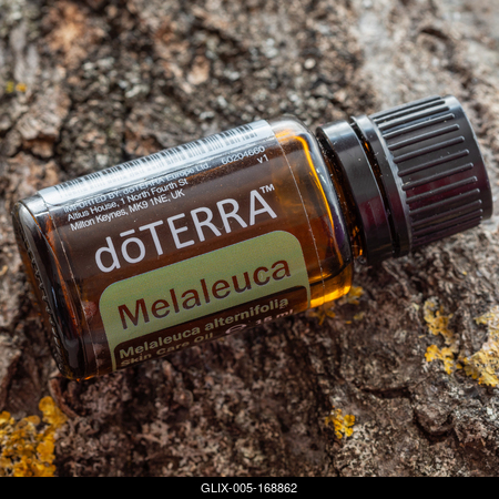 Pecs / Hungray - Aug 05 2020 - Illustrative editorial image of Doterra Essential Oils for everyday use-stock-foto