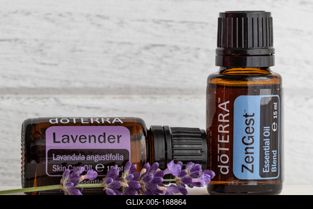 Pecs / Hungray - Aug 05 2020 - Illustrative editorial image of Doterra Essential Oils for everyday use-stock-foto