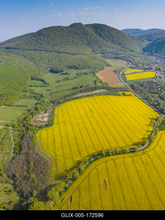 yellow canola field with Mecsek Hills-stock-foto