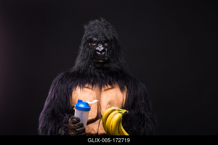 gorilla in studio with shaker and banana-stock-foto