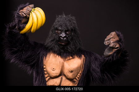 gorilla in studio with  banana-stock-foto