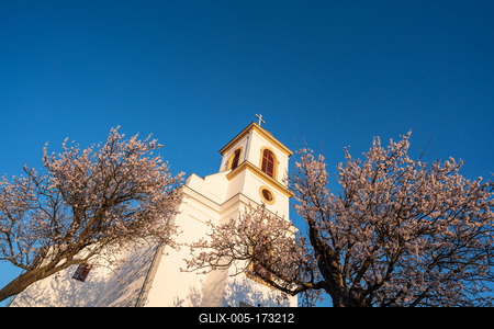 Small chapel with almond tree, called havas boldogasszony templom-stock-foto