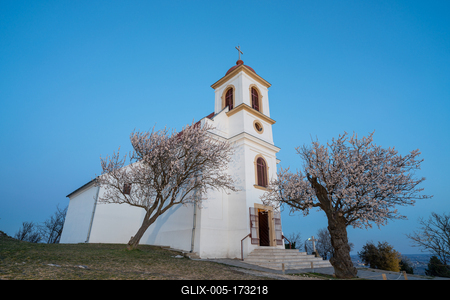 Small chapel with almond tree, called havas boldogasszony templom-stock-foto
