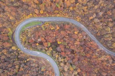 aerial view of Curvy road with autumn forest-stock-foto