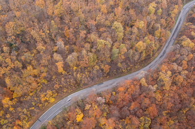 aerial view of Curvy road with autumn forest-stock-foto