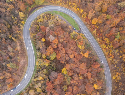 aerial view of Curvy road with autumn forest-stock-foto