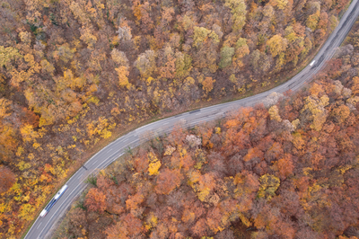 aerial view of Curvy road with autumn forest-stock-foto