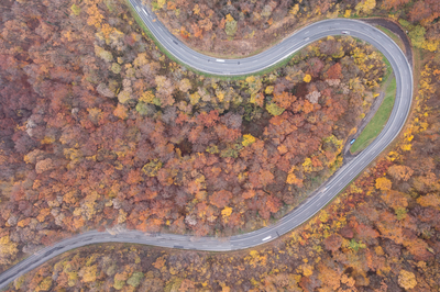 aerial view of Curvy road with autumn forest-stock-foto