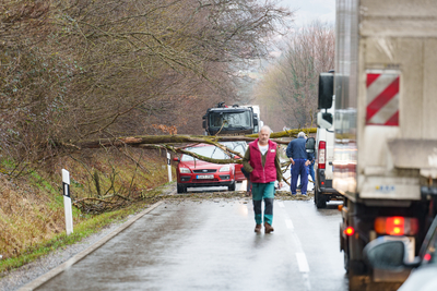 BOSZENFA, HUNGARY - JANUARY 10 2023: Fallen tree blocked the road and   caused congestion on the road Boszenfa. January 10 2023 Boszenfa, Hungary-stock-foto