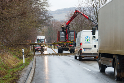 BOSZENFA, HUNGARY - JANUARY 10 2023: Fallen tree blocked the road and   caused congestion on the road Boszenfa. January 10 2023 Boszenfa, Hungary-stock-foto