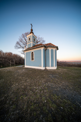 Small chapel with huge tree, called in Hungary Mausz Kapolna-stock-foto