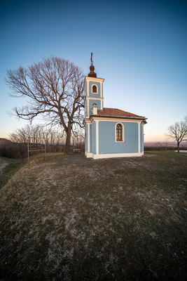 Small chapel with huge tree, called in Hungary Mausz Kapolna-stock-foto