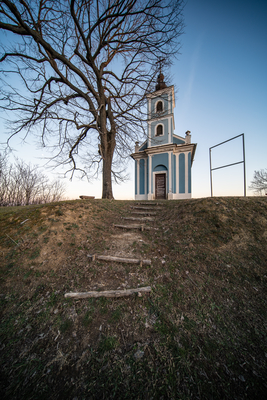 Small chapel with huge tree, called in Hungary Mausz Kapolna-stock-foto