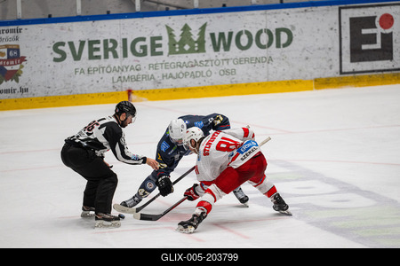 BUDAPEST - FEBRUARY 2: MAC Budapest (Budapest Jégkorong Akadémia Hockey Club) (blue) and Gyergyoi HK  (white) ice hockey teams participate in Championship, February 2, 2024 in Budapest, Hungary.-stock-foto