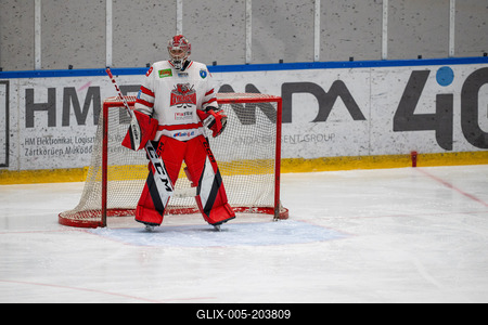 BUDAPEST - FEBRUARY 2: MAC Budapest (Budapest Jégkorong Akadémia Hockey Club) (blue) and Gyergyoi HK  (white) ice hockey teams participate in Championship, February 2, 2024 in Budapest, Hungary.-stock-foto