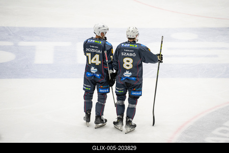 BUDAPEST - FEBRUARY 2: MAC Budapest (Budapest Jégkorong Akadémia Hockey Club) (blue) and Gyergyoi HK  (white) ice hockey teams participate in Championship, February 2, 2024 in Budapest, Hungary.-stock-foto