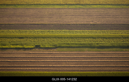 Szántóföld-stock-foto