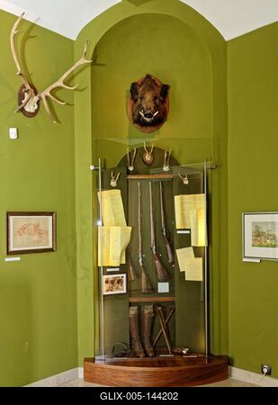 Hajósi érsek barokk kastély vadász szobája-stock-foto