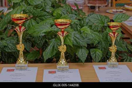 Som község sütiverseny kupái meg oklevelei-stock-foto