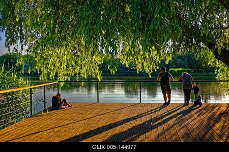 Nyíregyháza, naplemente a fűzfa alatt a Sóstónál-stock-foto