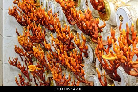 Ganoderma biogombák-stock-foto